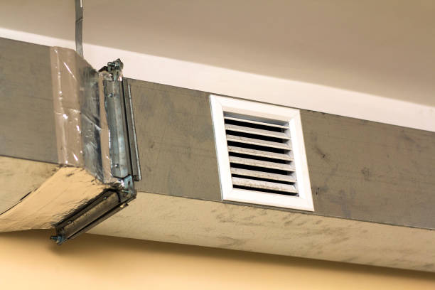 Best Residential Air Duct Cleaning  in Newton, IL