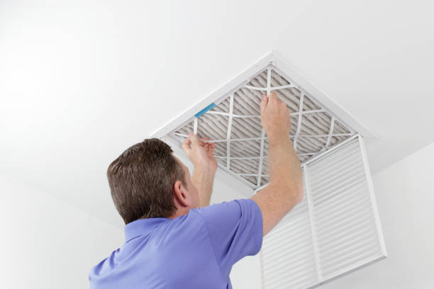 Best Affordable Duct Cleaning Services  in Newton, IL